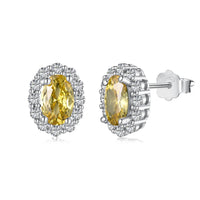 [Amore Jewels]Delicate Unique Oval Cut Daily Earrings